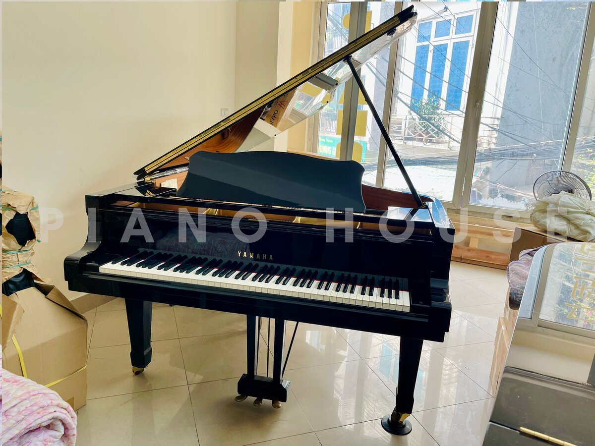 Hình ảnh chi tiết YAMAHA C7B seri 4.8 góc chụp 2